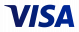 visa logo for casino listings